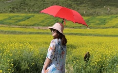 亚州卡一卡二新区乱码仙踪林